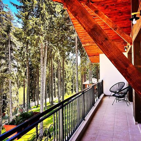 Boutique Villas Murgavets Pamporovo Bagian luar foto